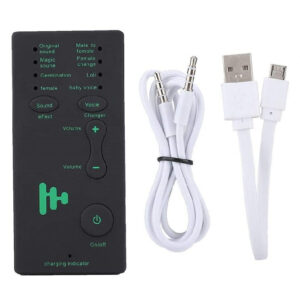 Mini Portable Sound/ Voice Changer Device