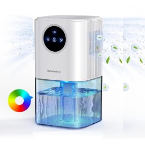 dehumidifiers for mould