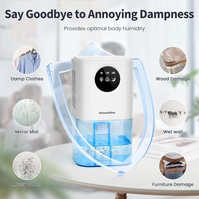 dehumidifiers for mould