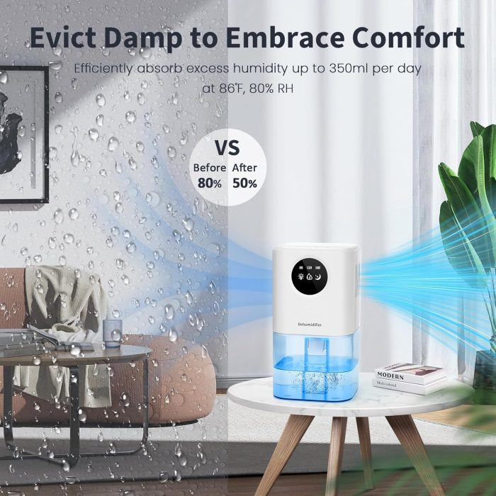 dehumidifiers for mould
