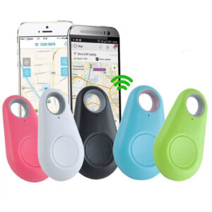 Anti-Lost Theft Device