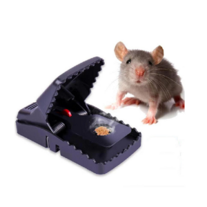 trapper rat