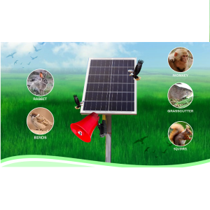 Solar Powered Scarecrow