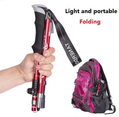 walking walking stick
